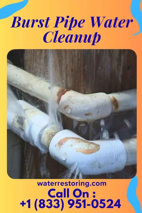 Burst Pipe Water Cleanup in Newark, WV