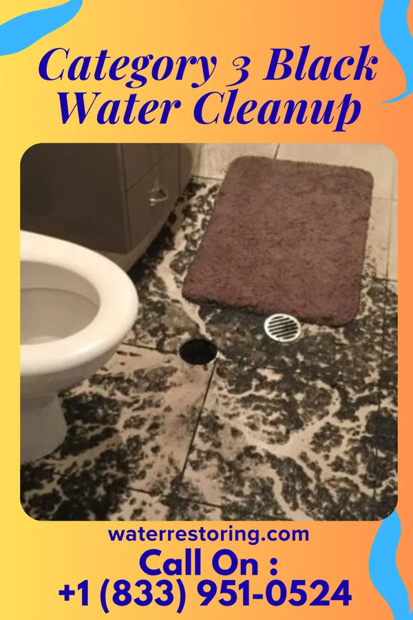 Category 3 Black Water Cleanup in Newark, WV