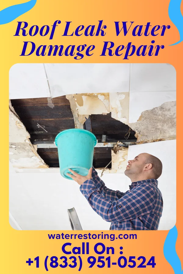 Roof Leak Water Damage Repair in Newark, WV