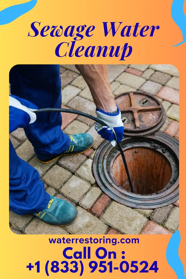 Sewage Water Cleanup in Newark, WV